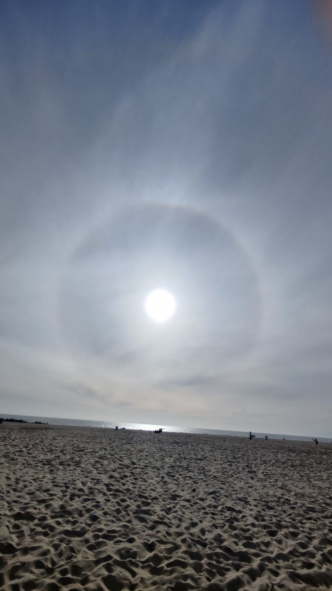littledsching's tweet photo. Have you seen today's halo sun? Location Venice beach #halo #haloshine https://t.co/YXktgkCXgB