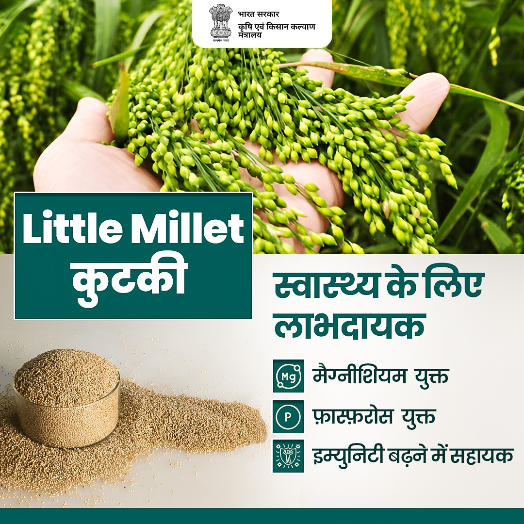 कुटकी (Little Millet) – सेहत का खजाना !
मैग्नीशियम से भरपूर यह हृदय को स्वस्थ रखता है, फ़ास्फ़ोरस हड्डियों को मजबूत बनाता है और इम्युनिटी बढ़ाने में मदद करता है । सेहतमंद जीवन के लिए कुटकी अपनाइए !

#IYM2023 #ShreeAnna #HealthyLiving