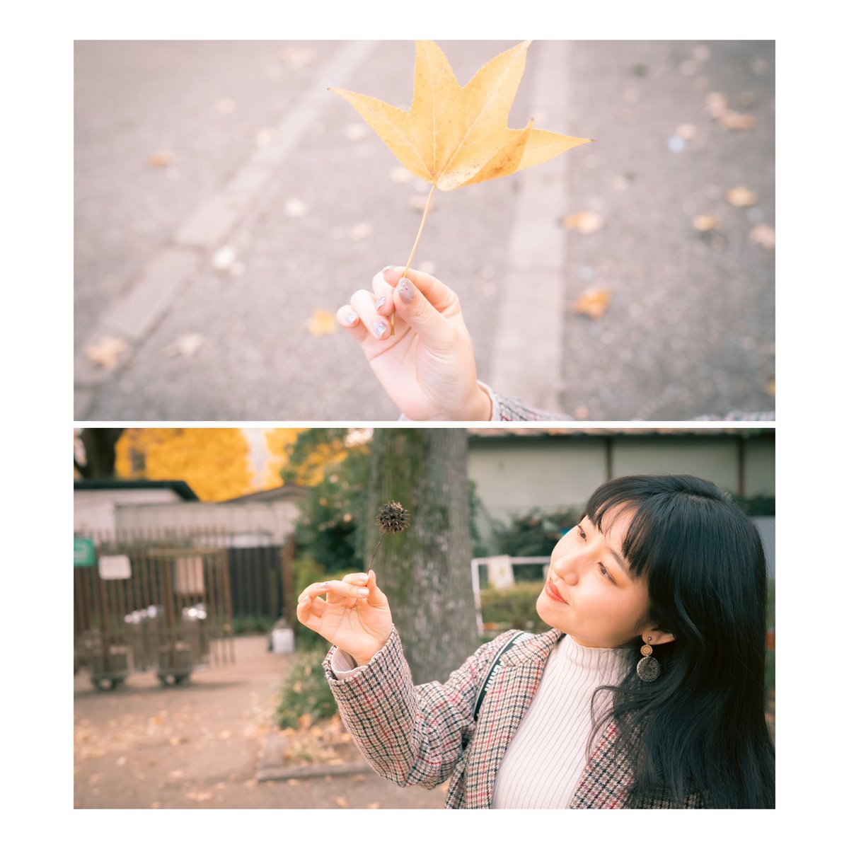 mwuf15's tweet photo. Enjoy the scenery in Autumn

👩🏻: @moq_moq_tabi 

#portrait #photography #autumncolours #tokyo #攝影日記 #攝影 #sonyalpha #photoshootinjapan #nature https://t.co/NifY6jvsdj