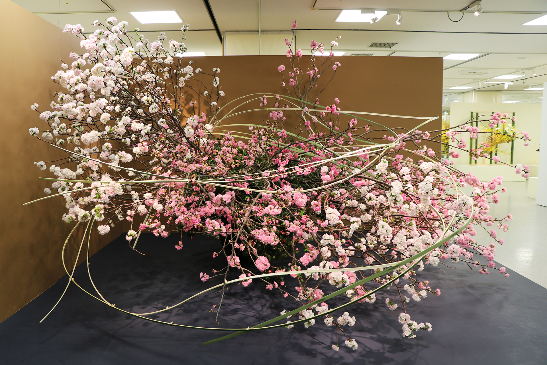 いけばな草月流 (@Ikebana_sogetsu) / X