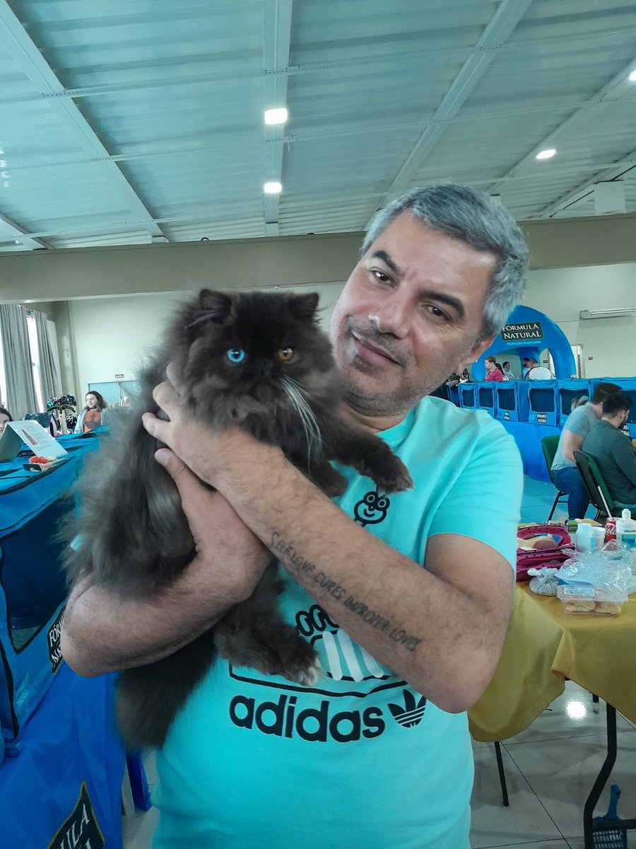 Meu gato lindo!  

#cat #gato #persa #oddeyes