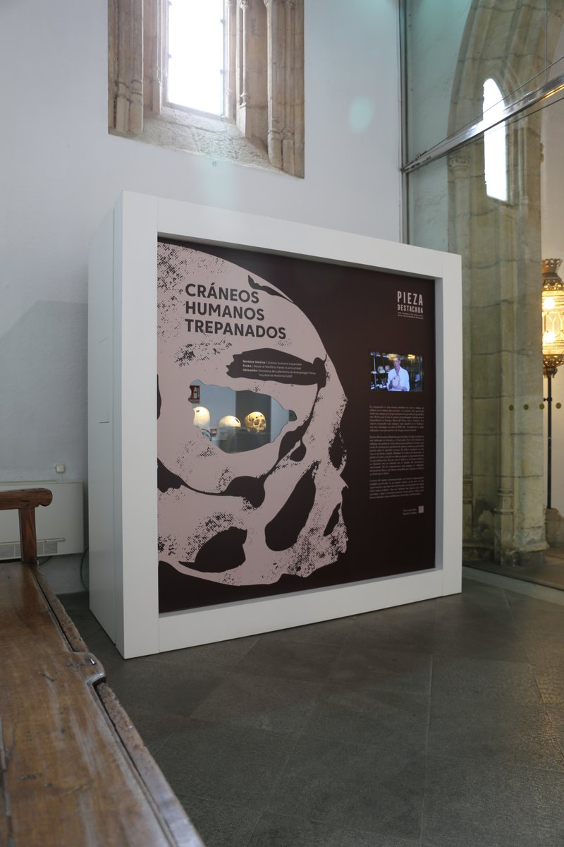 educaugr's tweet photo. #ExposicionesUGR ¿Cómo hemos cuidado de nuestra salud a lo largo de la historia?

El programa educativo «Osteoteca», para el espacio Pieza Destacada del Hospital Real, nos lleva a conocer las colecciones científicas del Laboratorio de Antropología Física @CanalUGR.

#UGReduca https://t.co/GLIRIOKiAi