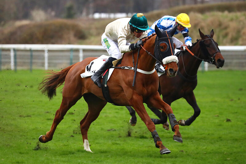 Gabriel Leenders (@gabrielleenders) on Twitter photo 🏆Un bon week-end sportif avec notamment la rentrée victorieuse de SHOKDOR <a href="/matthieuponson/">Matthieu Ponson</a> dans une Listed à <a href="/Hippo_Auteuil/">Hippodrome_Auteuil</a> !
📌KAVARATTI <a href="/airlavillenie/">Renaud LAVILLENIE OLY</a> <a href="/CypresJacques/">Cyprès Jacques</a> <a href="/DESMONTILS/">Sebastien Desmontils</a> prend une bonne 2nde place pour son retour à Lyon et LOUNIS est 3ème pour ses débuts.
#onlacherien 🏆Un bon week-end sportif avec notamment la rentrée victorieuse de SHOKDOR <a href="/matthieuponson/">Matthieu Ponson</a> dans une Listed à <a href="/Hippo_Auteuil/">Hippodrome_Auteuil</a> !
📌KAVARATTI <a href="/airlavillenie/">Renaud LAVILLENIE OLY</a> <a href="/CypresJacques/">Cyprès Jacques</a> <a href="/DESMONTILS/">Sebastien Desmontils</a> prend une bonne 2nde place pour son retour à Lyon et LOUNIS est 3ème pour ses débuts.
#onlacherien