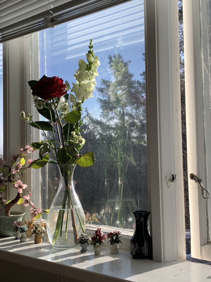 mifyune's tweet image. the snow is finally starting to disappear again♡