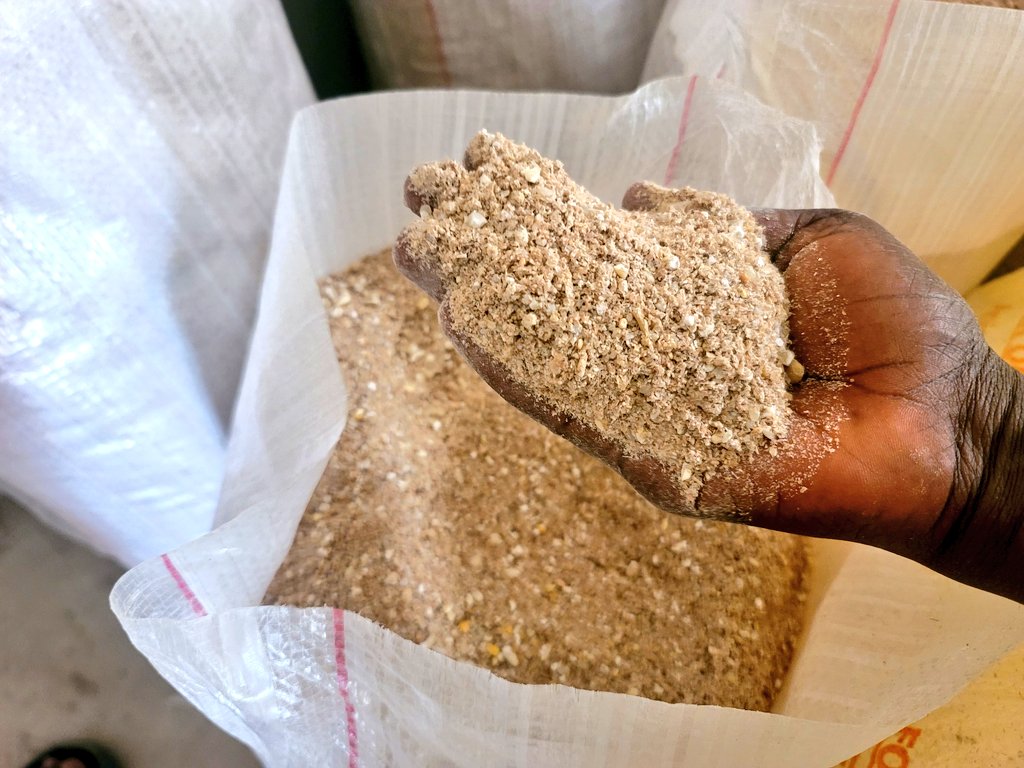 SasDantata's tweet image. Big news!

We just installed a 1-ton/hr feed mill at @AsadaFoods to make the best-quality poultry feed.

For now, let's just call it  "Asada Feed"

When we master the art of feed formulation, we'll be able to scale up and deliver the best feed to you. 

May Allah see us through!