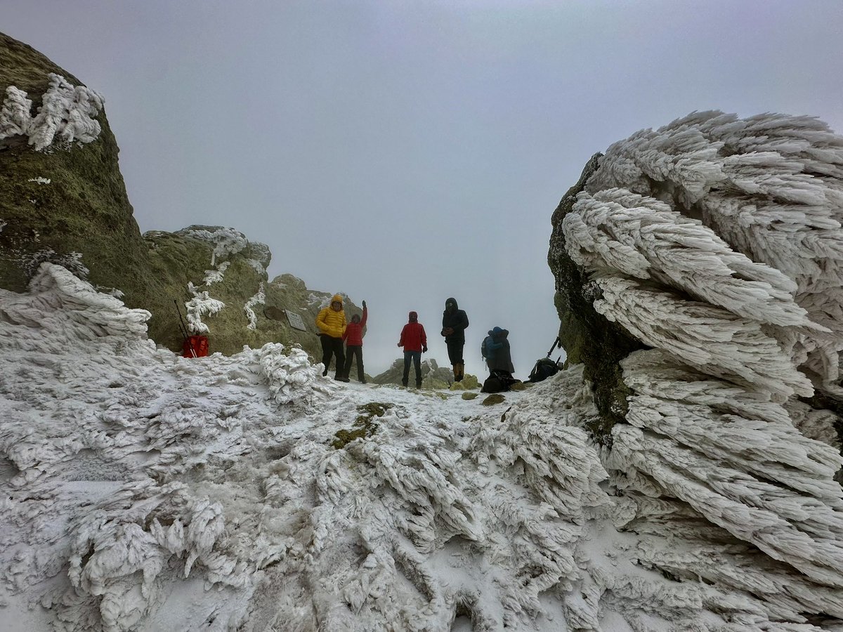 iranexploration's tweet photo. Damavand climbing season begins! Our group summited—ready for epic ascents and breathtaking views? Join the adventure! #DamavandPeak #ClimbingSeason #Mountaineering #IranMountains https://t.co/FC1KHrtkS7