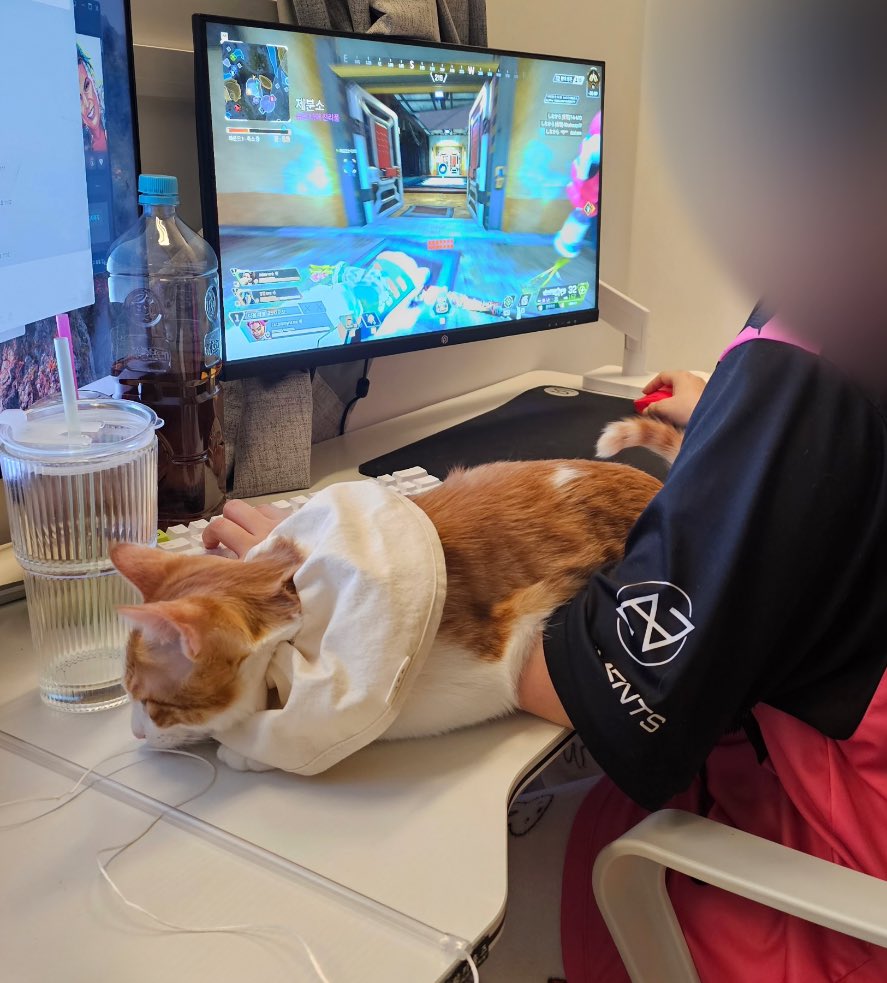 pluto_0h's tweet image. 내 뜨뜻한 팔토시 어떤데…
단점…무거움..