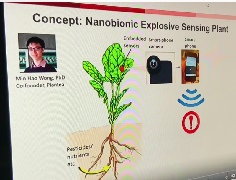 NWO4LYFE666CCP's tweet photo. #TPC > #JoeRogan 
Don't say you didn't know .... 
#Solitons >< #FinalSolution 
"Remotely Exploding Spinach leaves ... and the #WPAN"
https://t.co/GQqvXV4YgM 
@PrizonPalace @_tommyspodcast @AllBiteNoBark88 @TomRoten #ThinkBeforeSharing #WBAN #RAPE is real #TheEmperorHasNoBiofield https://t.co/aApiv9D6p8