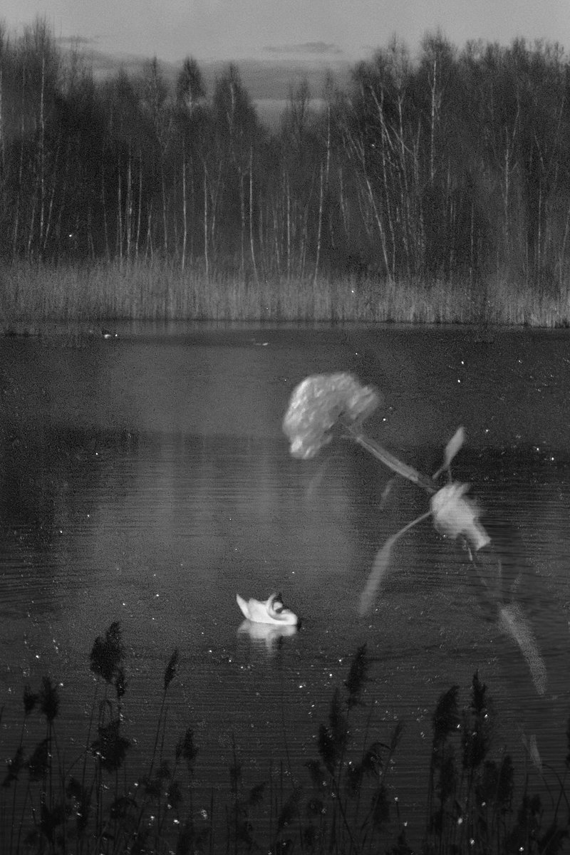 Emely Timm tweet media