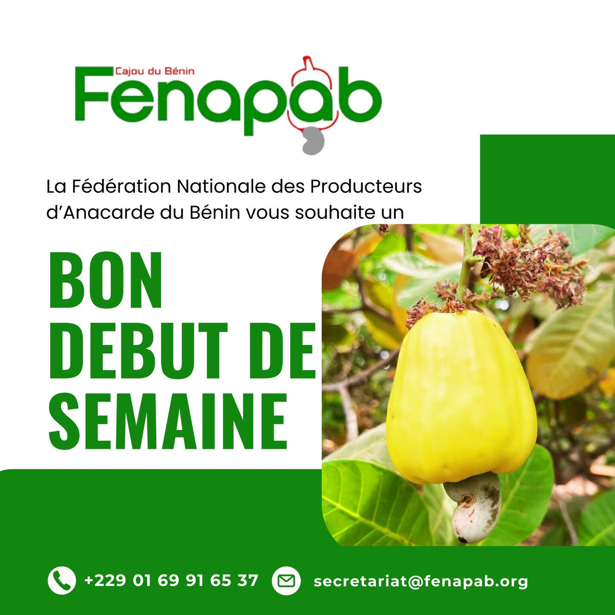 Fenapab2022's tweet image. Que cette nouvelle semaine apporte énergie, motivation et succès à tous les producteurs d’anacarde. Chaque effort compte pour faire grandir notre filière. Restons engagés pour un avenir meilleur ! 🌱

#FENAPAB #Anacarde #AgricultureDurable