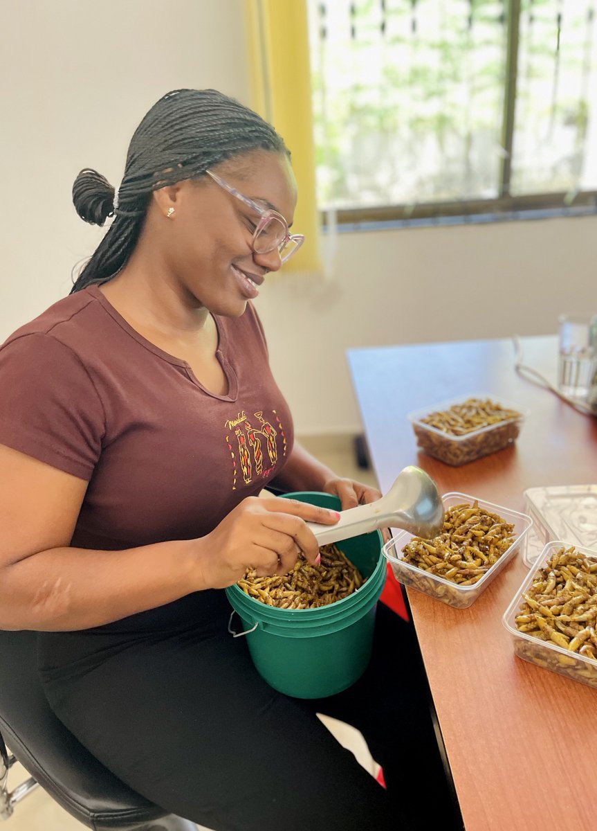 IshengomaIrene's tweet photo. Ishengoma’s #Senene ni kama maji kokote zinakufaa, jipatie package yako kwa Tsh. 10,000/= ➡️ 15,000/= tu🤝,
📌Unaweza kuzila wakati wa kufuturu kama “snack” au ukaziambatanisha na mlo wako utakapofuturu au/na utakapopata daku.
☎️ 0679064914
Karibu Tukuhudumie #Senene 😍 https://t.co/GYlAL7ipiv