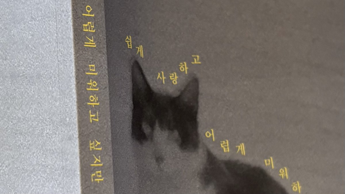 대전 조🥯ㅏ .ᐟ.ᐟ