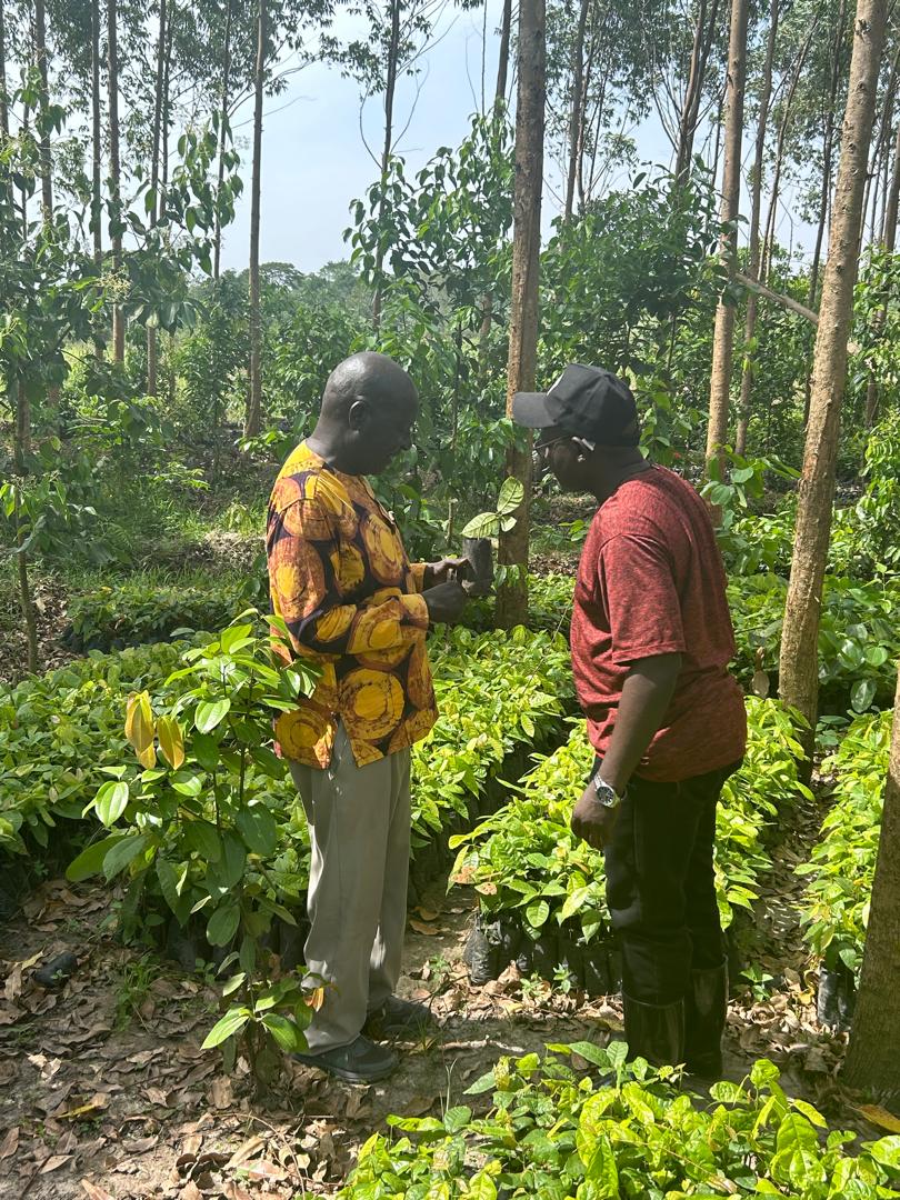 wakodimitra's tweet image. Just visited Munarya Subcounty Farmers SACCO—engaging with passionate cocoa farmers! 🌱🍫 Discussed EUDR &amp;amp; how the Dimitra Connected Farmer app enhances productivity, traceability, &amp;amp; sustainability. Excited for what’s ahead! 🌍📲 #Dimitra #EUDR #SustainableFarming $DMTR