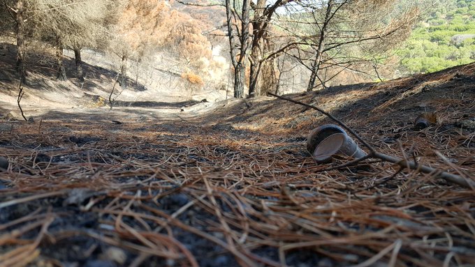 🔥❌Recorda: fins al 15 d'octubre queda prohibit fer qualsevol tipus de foc a menys de 500 metres de massa forestal. Extrema les precaucions #CivismeAlsParcs #som311 #ODSDiba

✅diba.cat/ca/web/incendi…