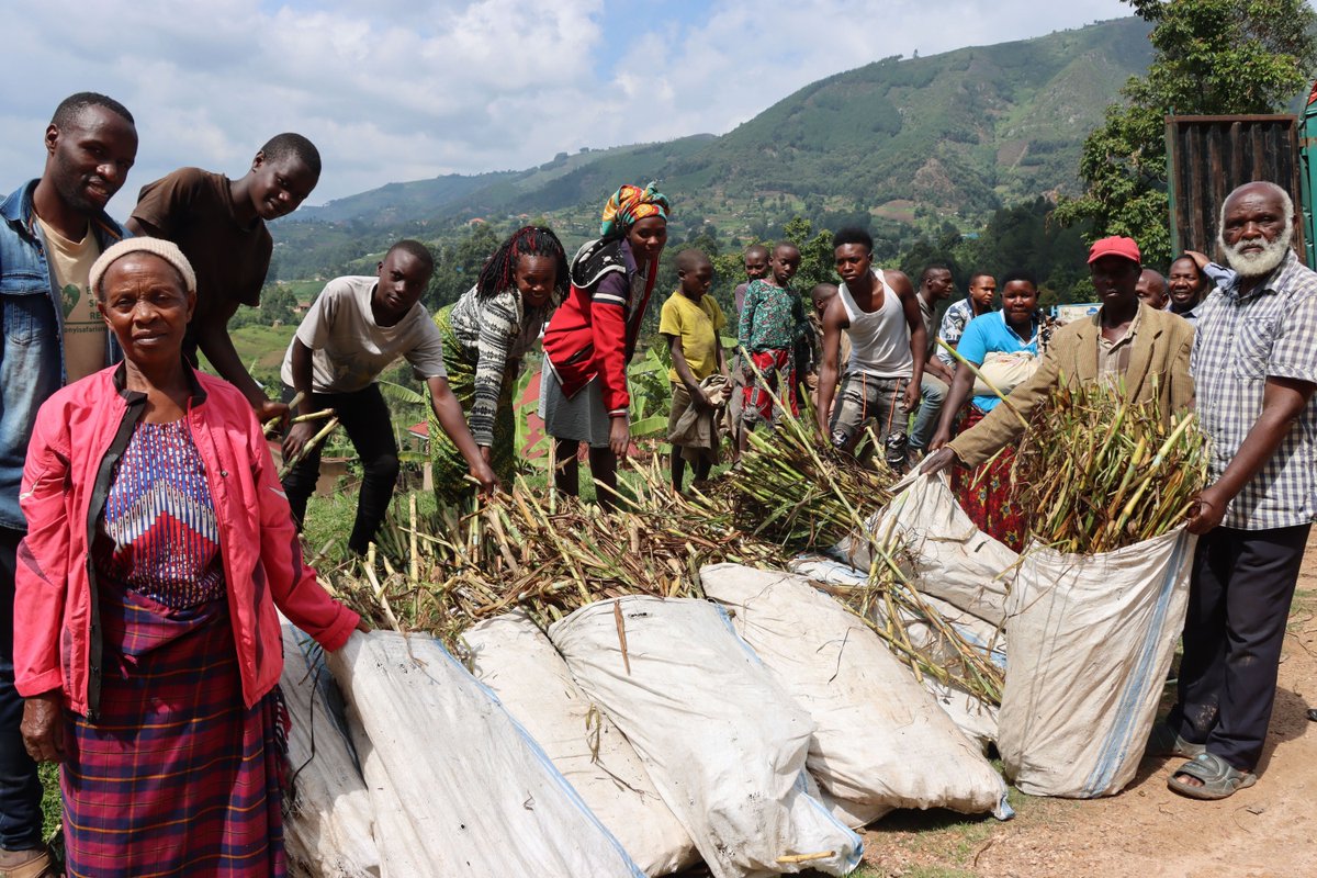 Market access just got a major upgrade in #Uganda! 🌽

Thanks to <a href="/NLinUganda/">Embassy of the Netherlands in Uganda</a> &amp; <a href="/IFDCGlobal/">IFDC</a>’s #BRIGHT project, the Kashaasha–Ihunga Road is being rebuilt, saving farmers time, money, and opening doors to trade. 🚜💡

More ➡️ buff.ly/l97HQST

#RuralDevelopment #AgImpact
