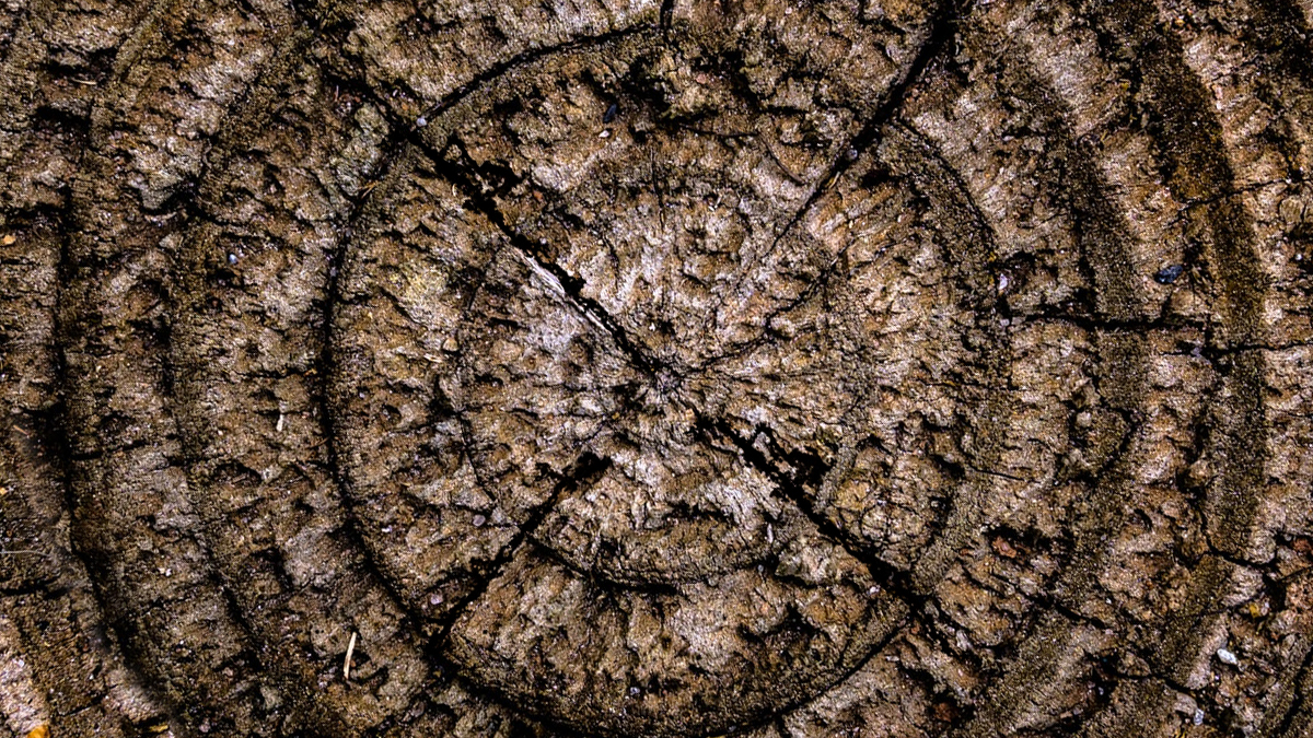 Què és Innobaix? Proporcionem accés a serveis professionals de suport i eines a les #empreses.

#territorimetropolità #connneXió #creiXement #coneiXement #talent #propòsit   

f.mtr.cool/dappjwelyj