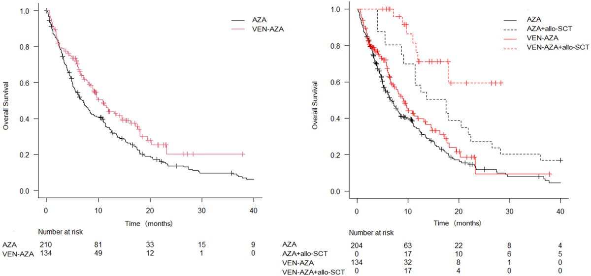 Venetoclax–Azacitidine Versus Azacitidine for the Treatment of Primary Refractory or First Relapsed Acute Myeloid Leukemia #leusm #AML |American Journal of Hematology | Blood Research Journal | Wiley Online Library onlinelibrary.wiley.com/doi/full/10.10…