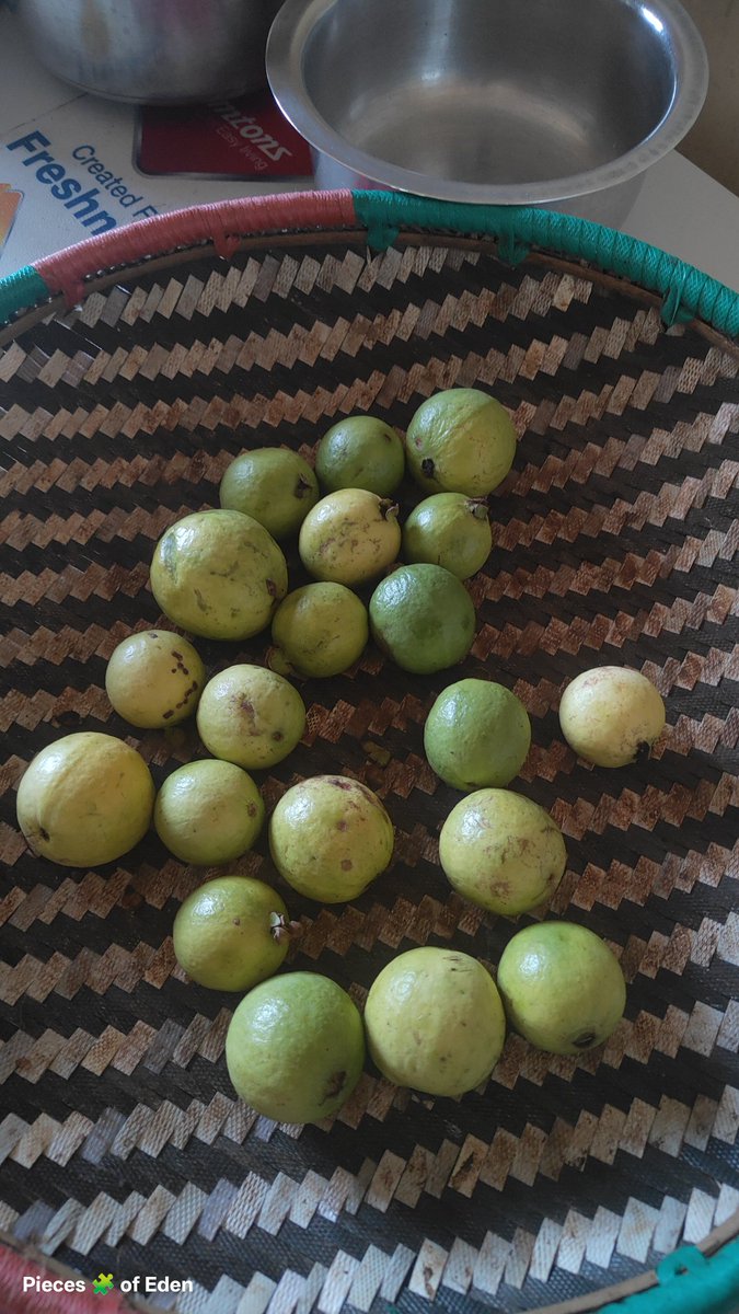 Pieces of Eden (@kodingo_robert) on Twitter photo .<a href="/ogaobinnatv/">Oga Obinna TV</a> For the #Culture on <a href="/micchequepod/">Mic Cheque Podcast</a> . Most lived that life in the village and we never even saw it as poverty. Best times that moulded the best of us. .<a href="/ogaobinnatv/">Oga Obinna TV</a> For the #Culture on <a href="/micchequepod/">Mic Cheque Podcast</a> . Most lived that life in the village and we never even saw it as poverty. Best times that moulded the best of us.