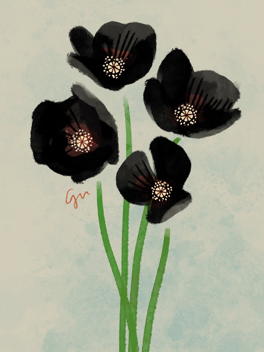 黒いお花
#illustration