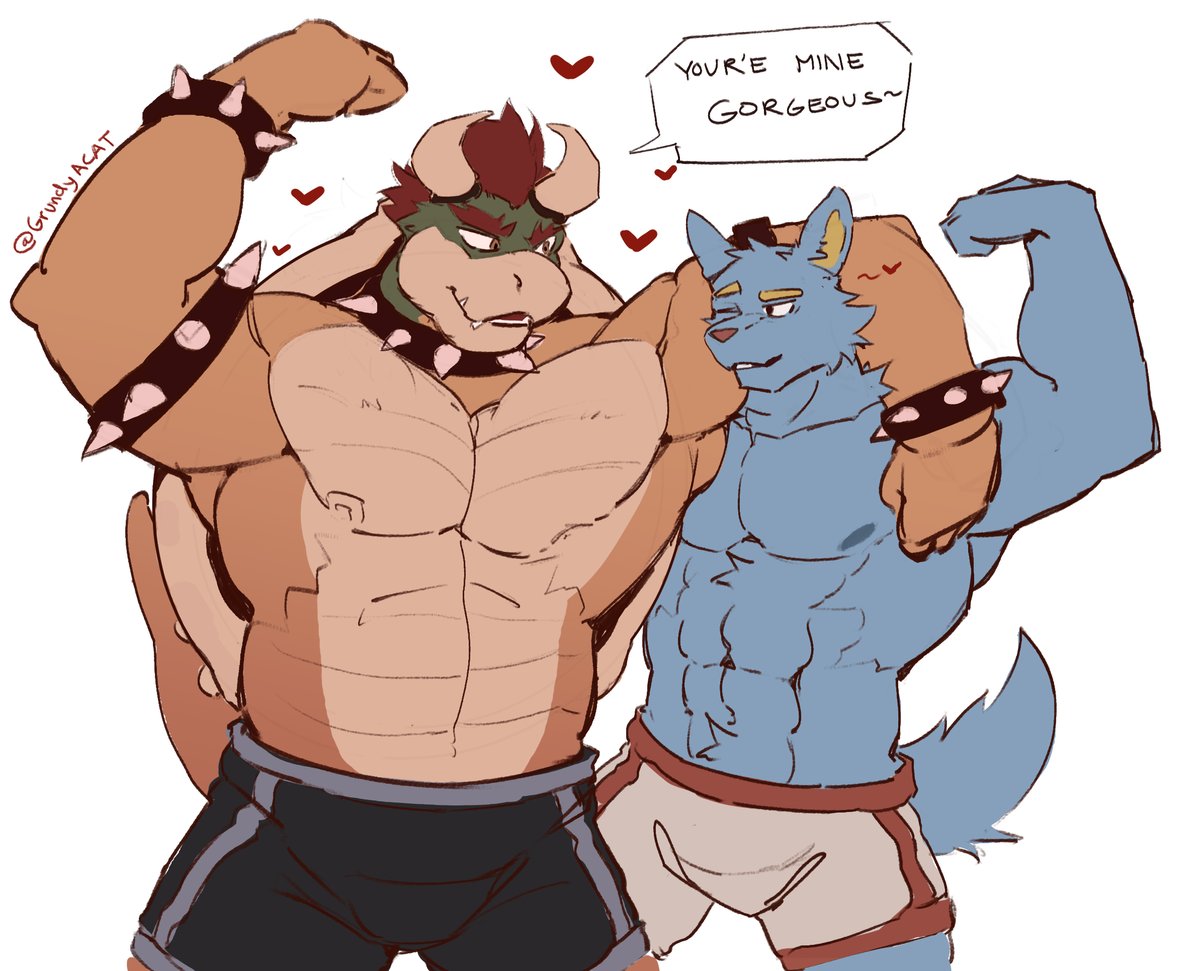 bowser😳