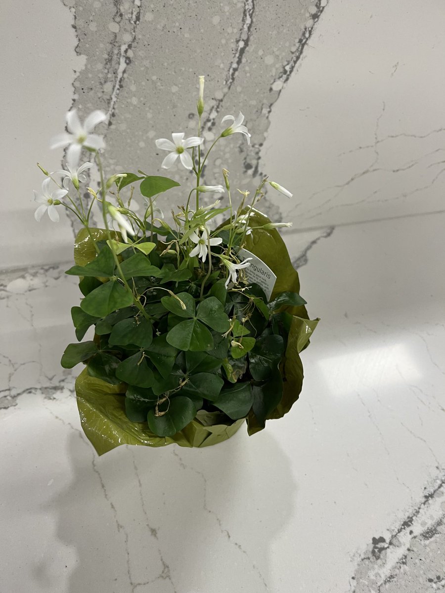 Emma Stewart Resources Centre tweet media