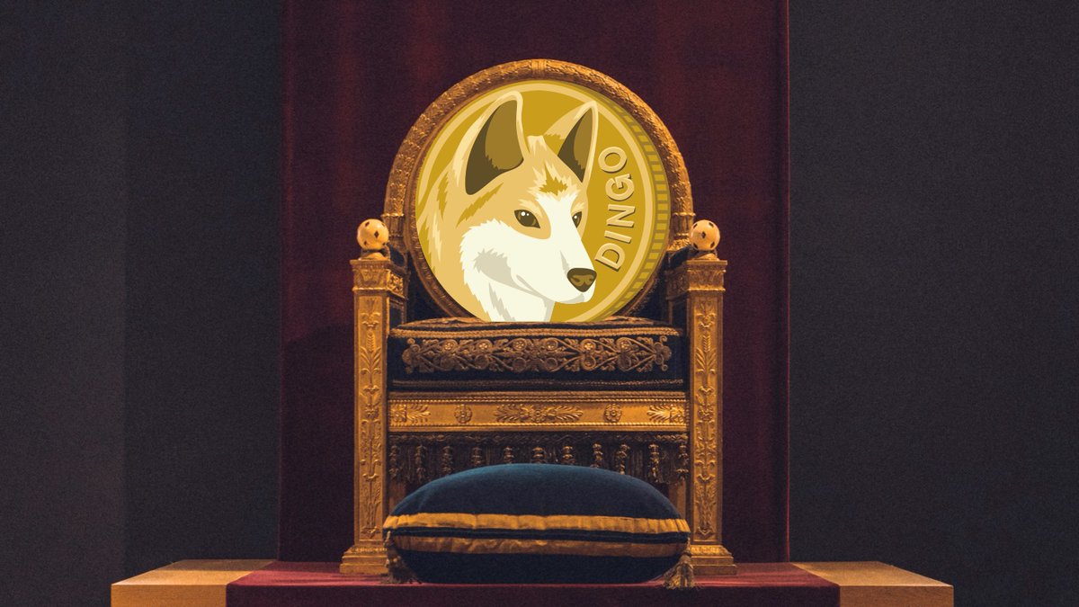 dingocoincrypto's tweet photo. Not so far in the distant future https://t.co/k3yXrPdagj