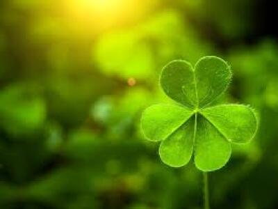 HorrifyingHist1's tweet image. Top o' the mornin' to ya! 🍀 Don't forget to wear your green so you don't get pinched! 🌈 And remember, the only green beer you should be drinking today is the one that's actually supposed to be green. #StPatricksDay #WearGreen #GreenBeer