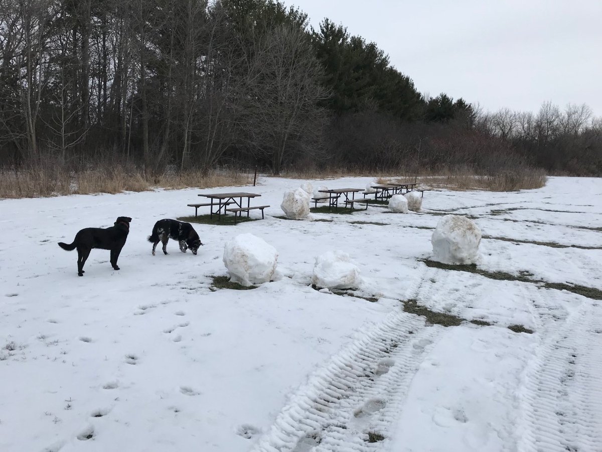 justwrite15's tweet image. In a world with so much repurposed content, repetition, redundancy and replays, how does one stay creatively alert? Check out this week's column for some thoughts on creative content:

justwrite15.com/weekly-chuckle….  #creativecontent #creativity #entertainment #movies #novels #podcasts