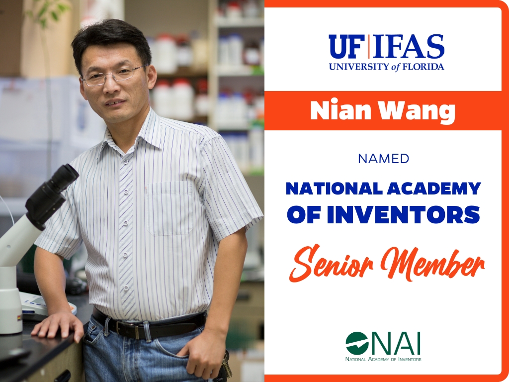 UF IFAS Solutions (@uf_ifas) on Twitter photo Join us in congratulating <a href="/UF_MCS/">UF Microbiology</a>'s <a href="/NWangUF/">Nian Wang</a> on becoming an <a href="/AcadofInventors/">National Academy of Inventors</a> senior member!
More on Wang and this honor 🔗 go.ufl.edu/r8pqn8y Join us in congratulating <a href="/UF_MCS/">UF Microbiology</a>'s <a href="/NWangUF/">Nian Wang</a> on becoming an <a href="/AcadofInventors/">National Academy of Inventors</a> senior member!
More on Wang and this honor 🔗 go.ufl.edu/r8pqn8y