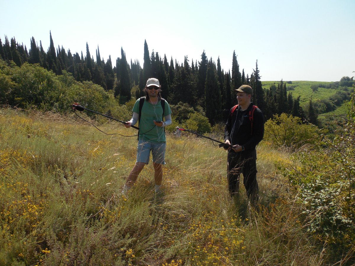 🌍🦗 Ready for a summer adventure? Join the Greek Summer School on Orthoptera Sound System!
 📅 22–28 July 2025, Konitsa 🇬🇷
 🎶 Learn bioacoustics
 🌿Explore nature
 🔗 Apply by 25 April: bc.lab.uoi.gr/en/education-t…

<a href="/TETTRIsEU/">TETTRIs</a> <a href="/BosqueAnimadoEA/">Bosque Animado AEA</a> #Orthoptera #Bioacoustics