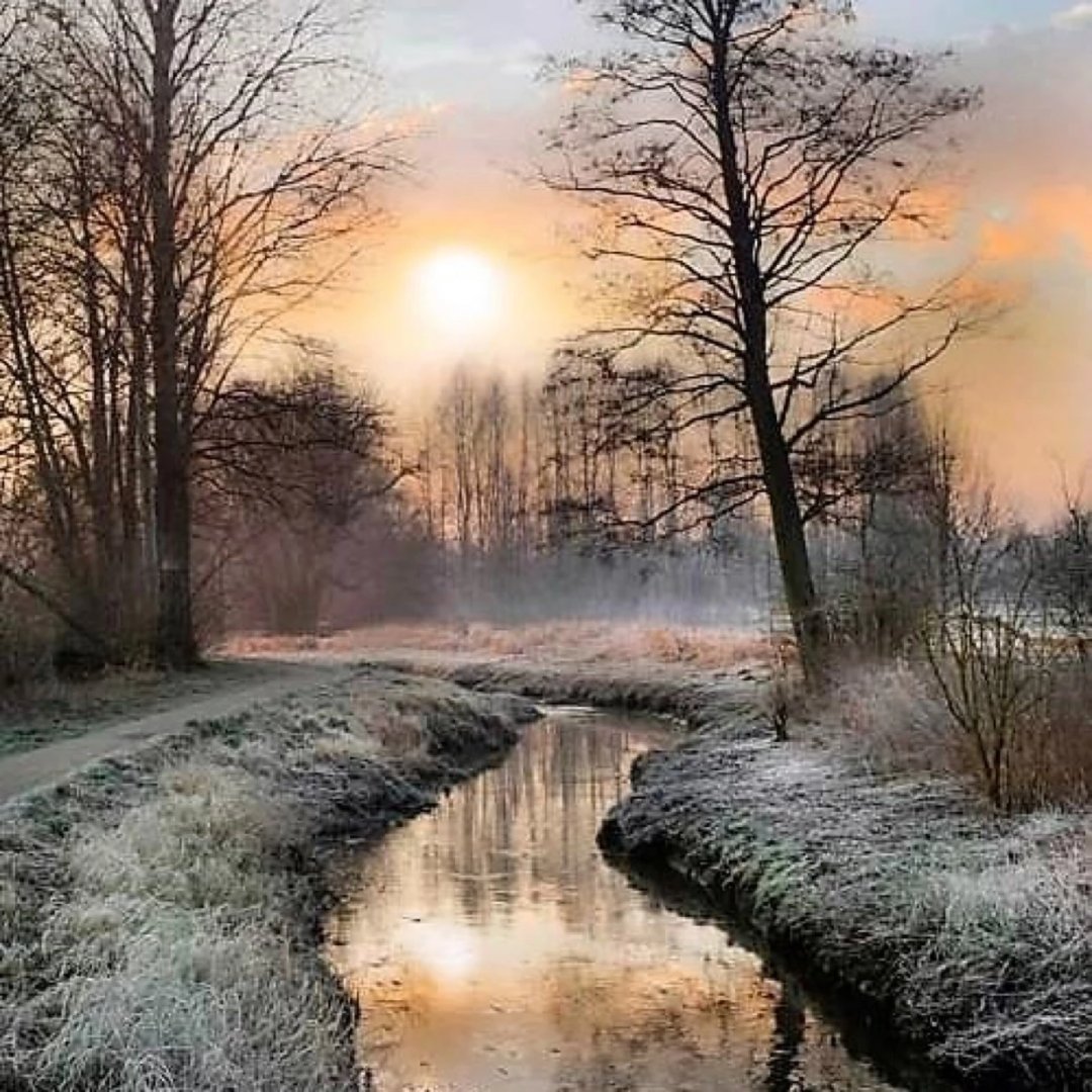 LeoAuteur's tweet photo. Magnifiiques lumières sous l'objectif du #photographe Andrzej  Berlowski. https://t.co/PrXNa4XAIX