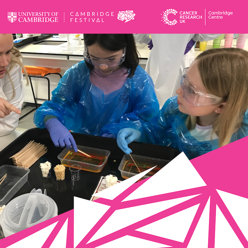CRUK Cambridge Centre (@crukcamcentre) on Twitter photo Find us on the 2nd floor of the Cambridge Academy for Science and Technology, this Sat 22 March from 11am and get hands-on with cancer research in Cambridge with 20+ activities! 🥽 🧠 🦠 <a href="/Cambridge_Fest/">Cambridge Festival</a> <a href="/CambCancer/">Cambridge Cancer Research Hospital</a> <a href="/CUHArtsNHS/">CUH Arts</a>
Find out more ➡️ zurl.co/09u7J Find us on the 2nd floor of the Cambridge Academy for Science and Technology, this Sat 22 March from 11am and get hands-on with cancer research in Cambridge with 20+ activities! 🥽 🧠 🦠 <a href="/Cambridge_Fest/">Cambridge Festival</a> <a href="/CambCancer/">Cambridge Cancer Research Hospital</a> <a href="/CUHArtsNHS/">CUH Arts</a>
Find out more ➡️ zurl.co/09u7J