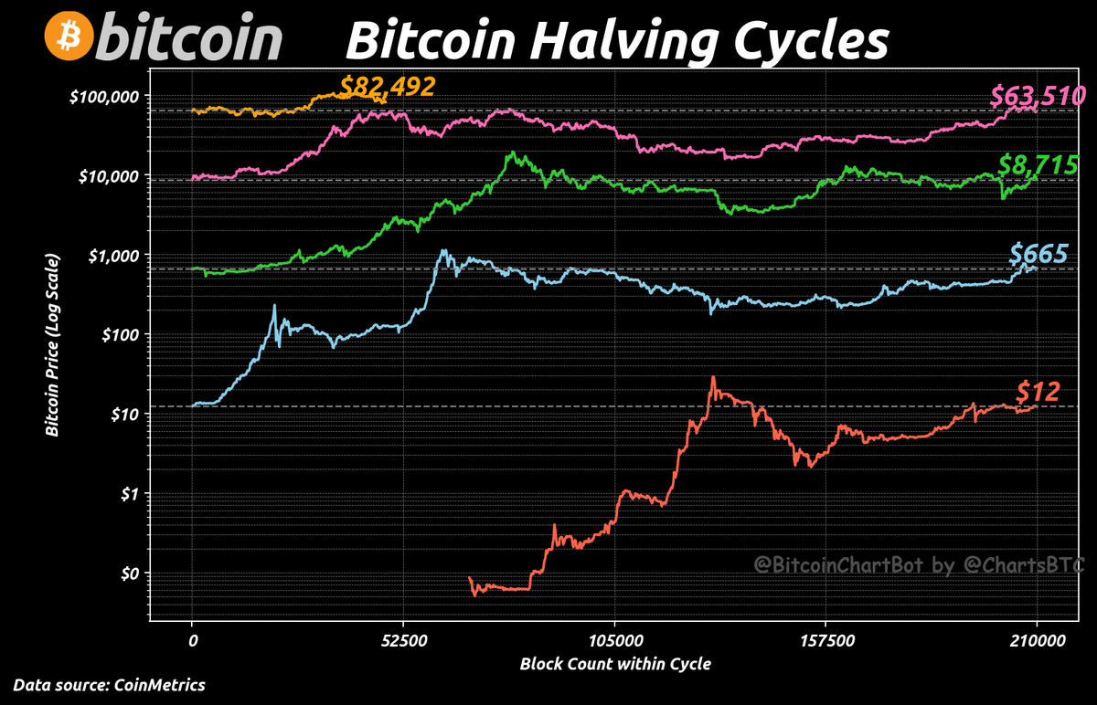 #Bitcoin Halving Cycles
#HalvingCycles $BTC #BitcoinChartBot