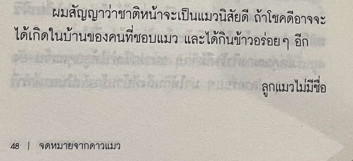 มีน้ำตาเป็นจำนวนมาก อยากให้แมวทุกตัวบนโลกใบนี้ได้ถูกรัก และได้กินข้าวอร่อยๆทุกมื้อ😭😭😭