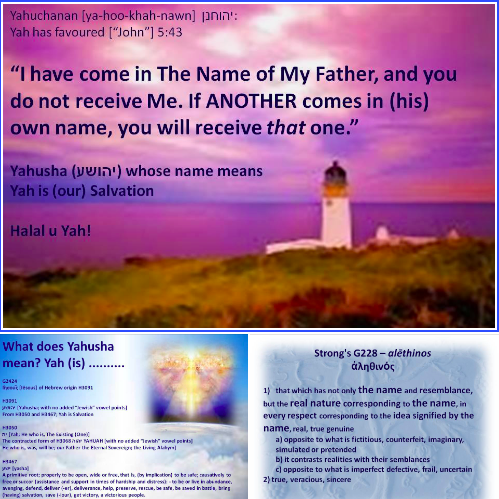 ThundersSeven's tweet image. Yahweh is a graven image of Jupiter Zeus Jove Esus et al all sun gods of the Heathen (fallen) all born on Dec25 
#Yahweh is NOT the Heavenly Father's Hebrew Name 
And #Jesus is not His Son's Name either
#WholeWorldDeceived by man-made-up #religions of the world &amp;amp; vain #traditions