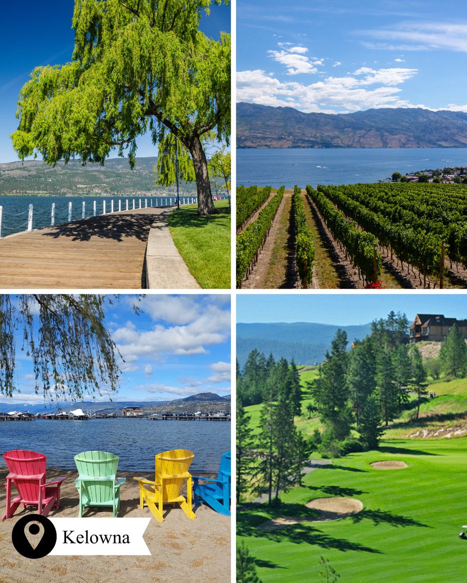 Tisson Travel Group tweet media