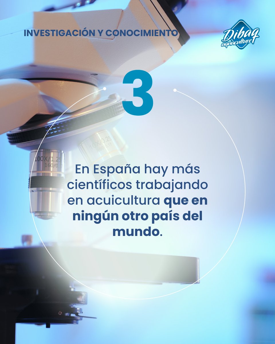 dibaqaqua_es's tweet photo. El mar nos inspira a cuidar el futuro.
En #Dibaq #Acuicultura, nuestro compromiso comienza con el bienestar de los peces. Garantizamos su cuidado con soluciones innovadoras y sostenibles que promueven su salud y crecimiento. Más información: https://t.co/JDgvbsmrkx https://t.co/HoO5zWe4Dt