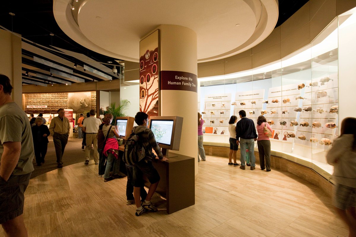 Human Origins at SI tweet media