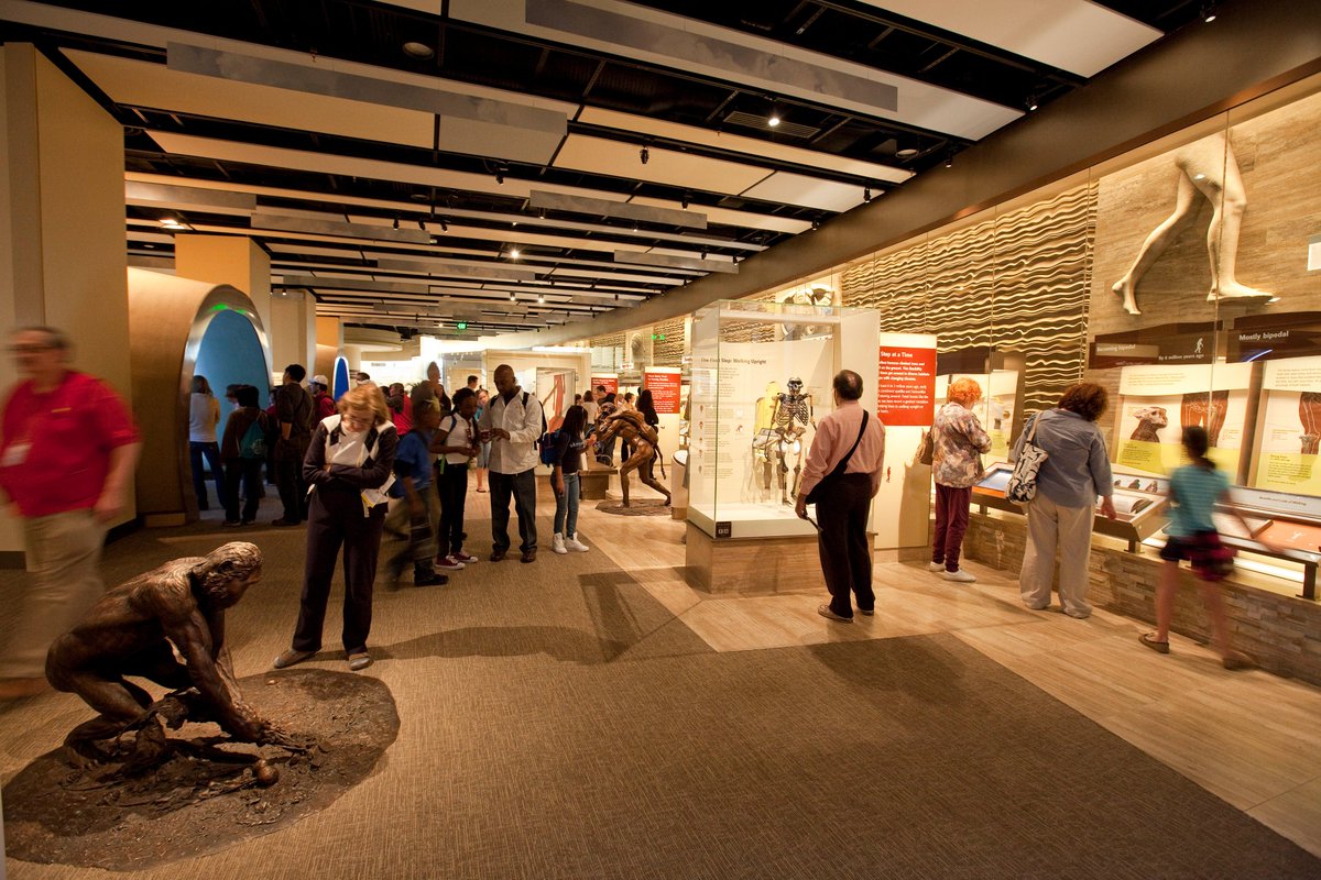 Human Origins at SI tweet media