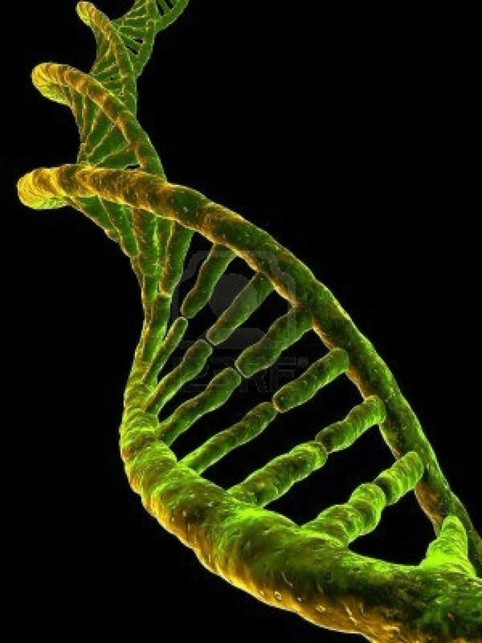 matthew_labosco's tweet photo. Doctors warn about smoking, sugar, and bad genes. But the real killer?

Chronic stress.

It’s silently rewiring your brain, wrecking your body, and cutting years off your life.

Here are 9 ways stress is killing you—and how to make it work for you instead: 🧵 https://t.co/gTwG4XAthG