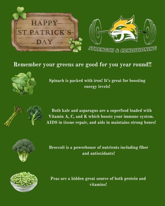 Happy St. Patrick’s Day, Cats 🐾💥Remember to eat your greens this month! ☘️💪