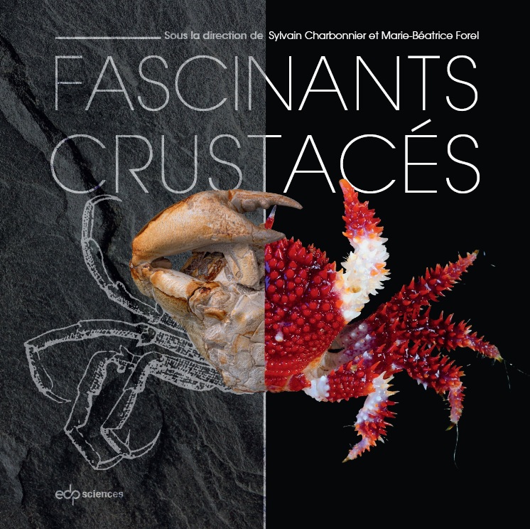 Valentin de Mazancourt tweet media