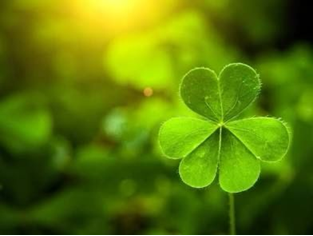 ☘️⚜️May your troubles be less and your blessings be more. And nothing but happiness come through your door. 

Happy St Patricks’s Day! 💚 InRShoes.com
