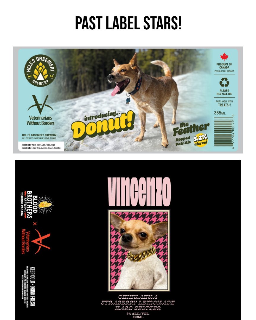 Veterinarians Without Borders tweet media