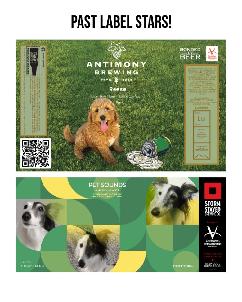 Veterinarians Without Borders tweet media