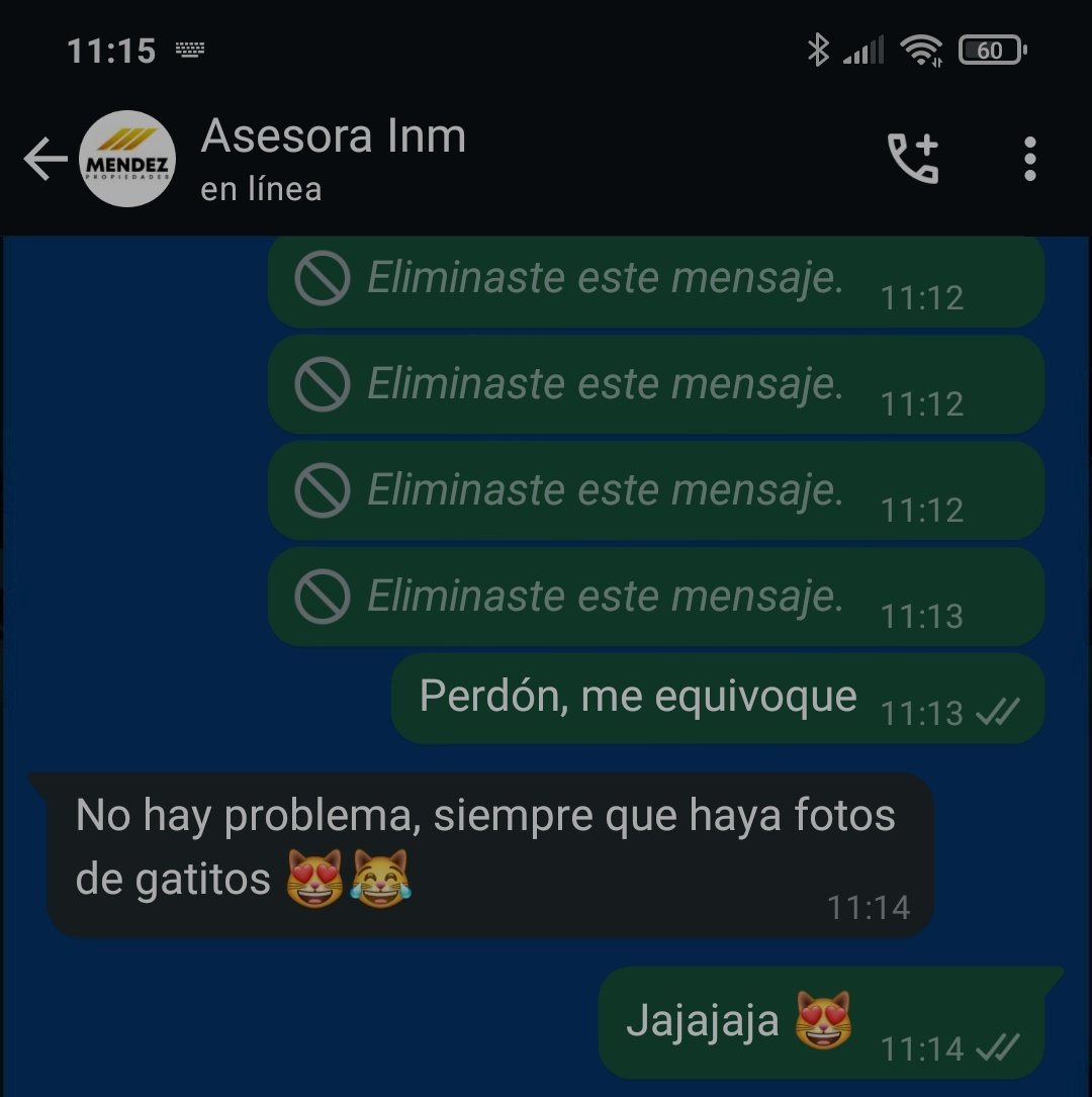 Me equivoque de chat y le mande a la inmobiliaria una foto en la cama con la gata🫣