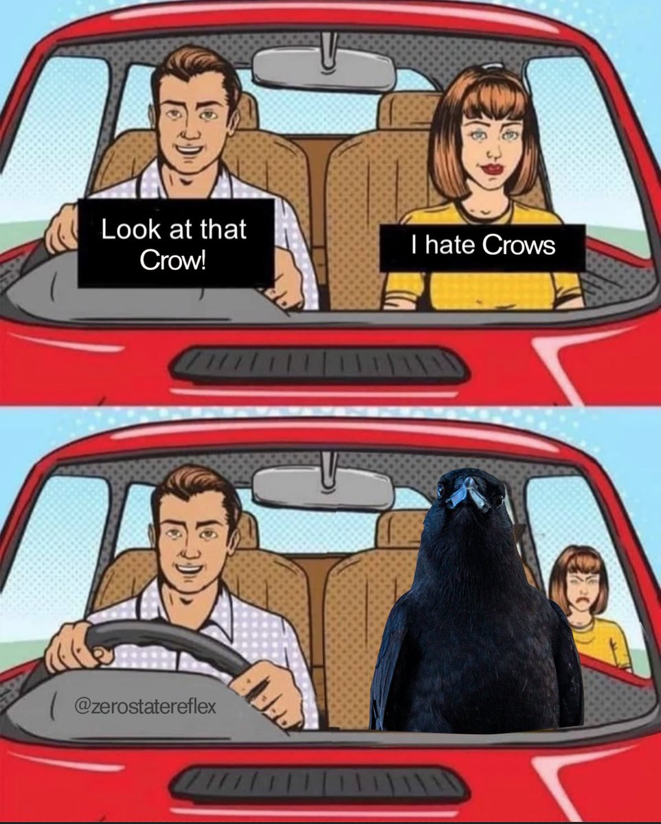 ZeroStateReflex's tweet image. 