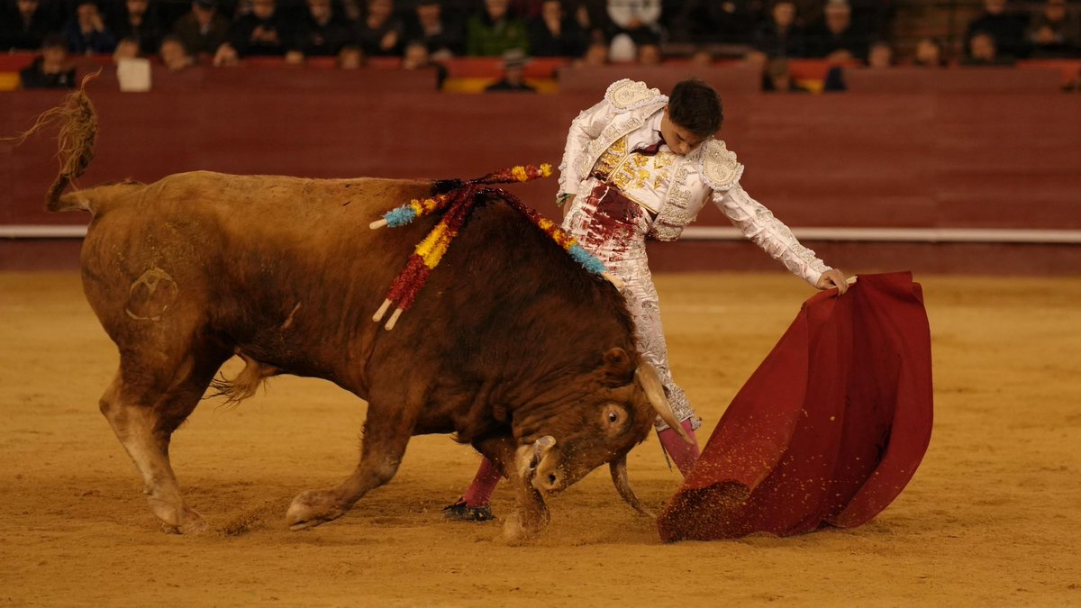 Alejandro Chicharro tweet media