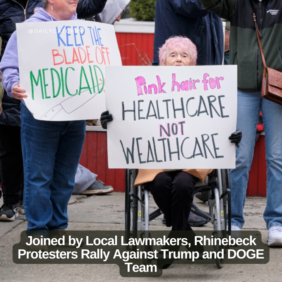 The Daily Catch tweet media