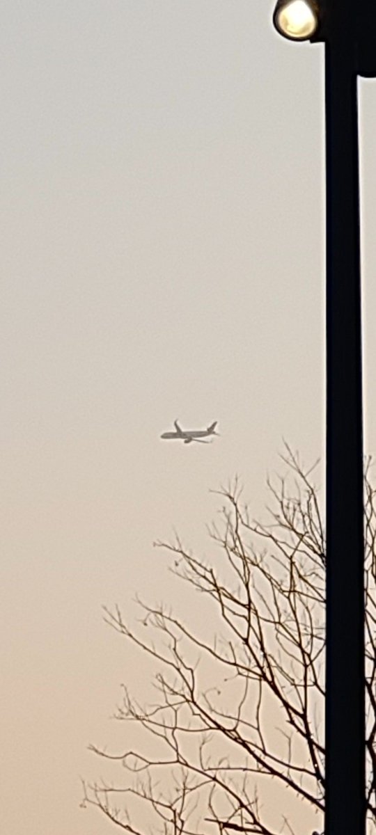 当你看成飞机长了大牛牛后就再也回不去了